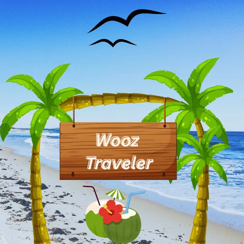 wooz traveler logo